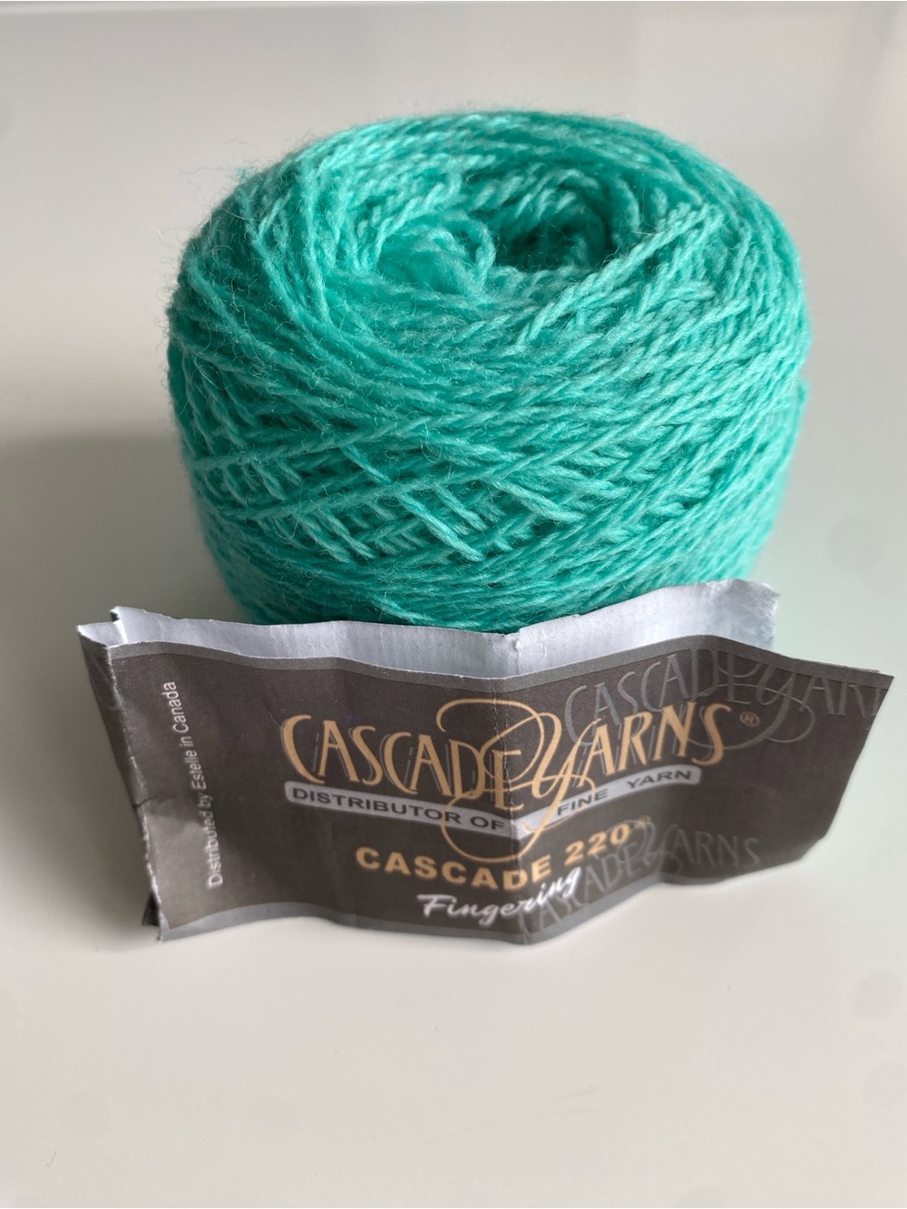 Cascade Yarns Cascade 220 Fingering Weight Yarn in Key West / Bright Aqua